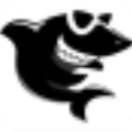 黑鲨装大师官方版下载安装-黑鲨装机大师电脑版下载 v12.8.50.2000(附使用教程)