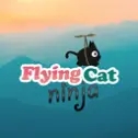 飞翔的忍者猫Flying Cat Ninja