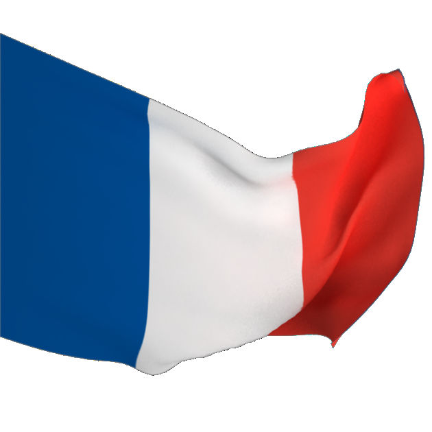一月学会法语mac版